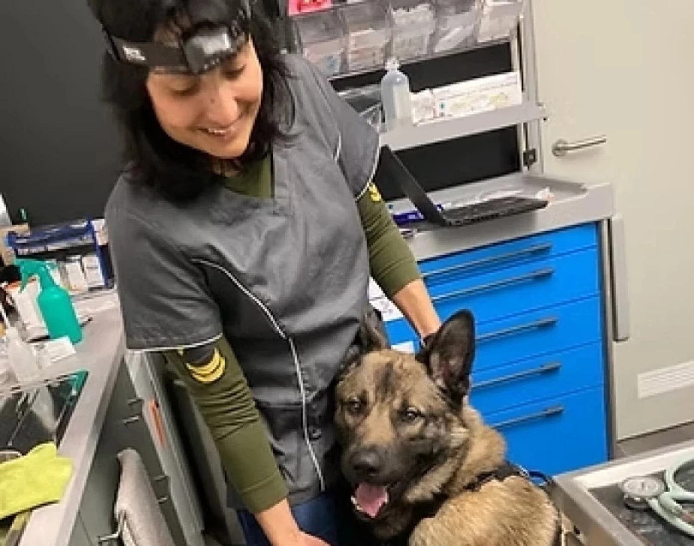 Aux petits soins pour vos animaux depuis 2012 : patience, douceur et écoute.